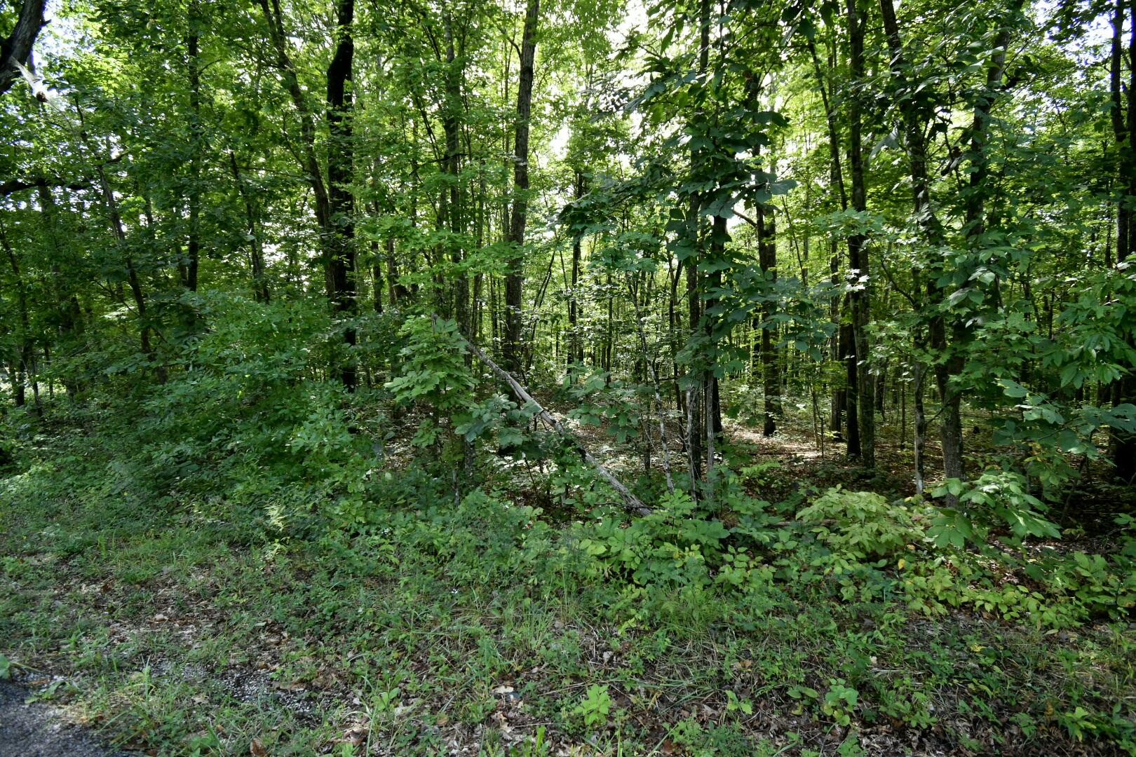 2105 Black Wolf Drive Property Photo 11