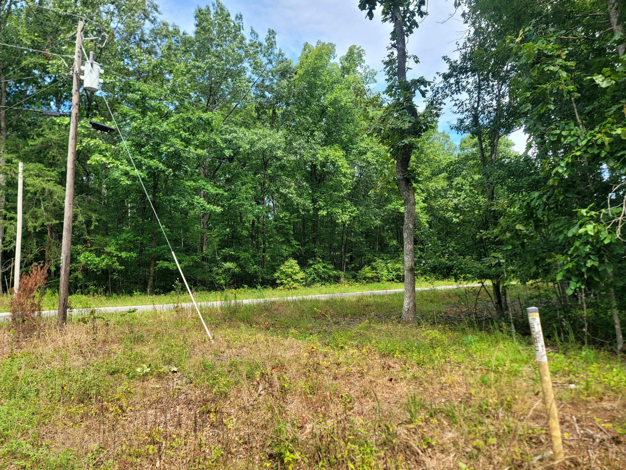 2105 Black Wolf Drive Property Photo 13