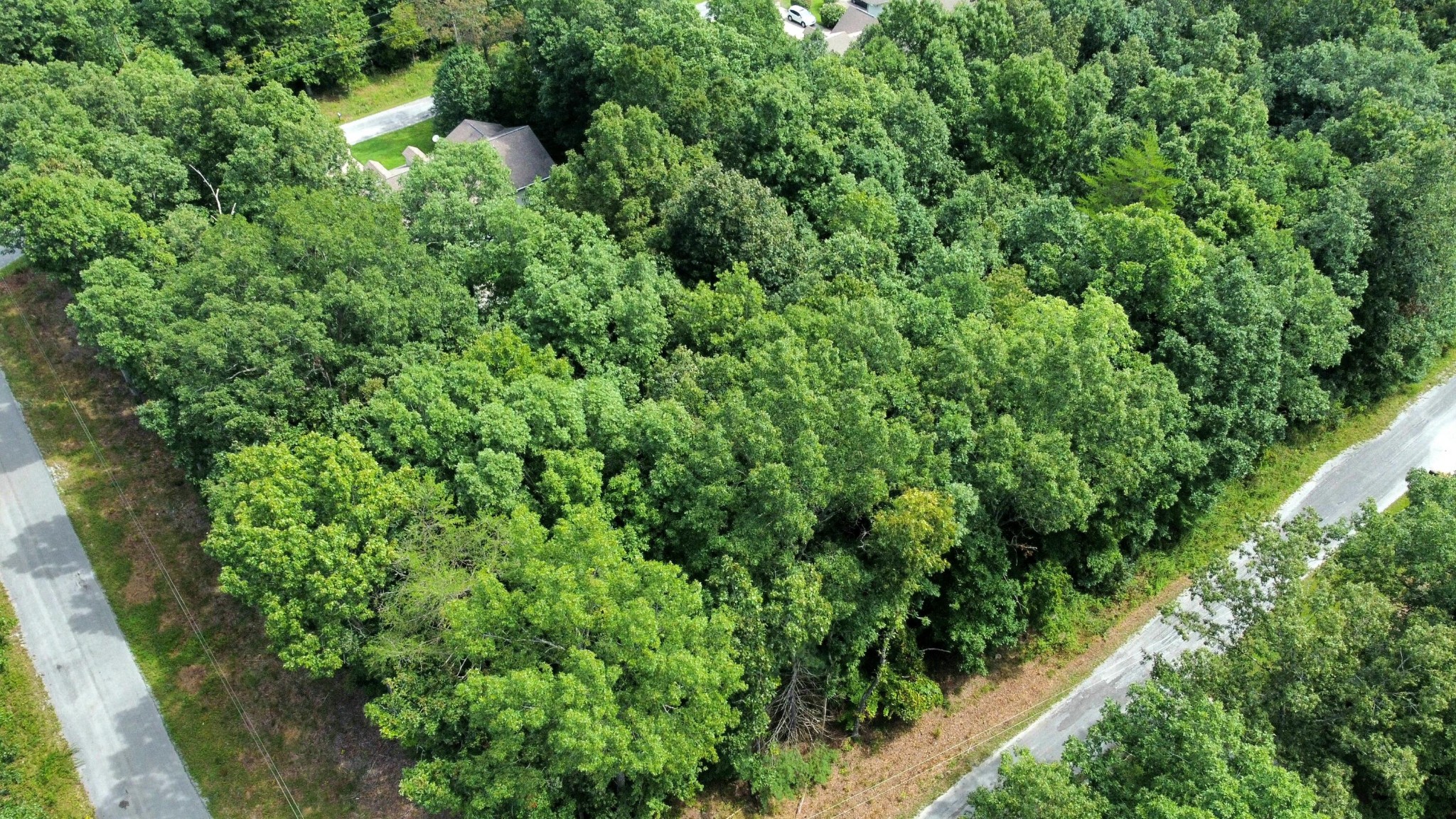 2105 Black Wolf Drive Property Photo 14