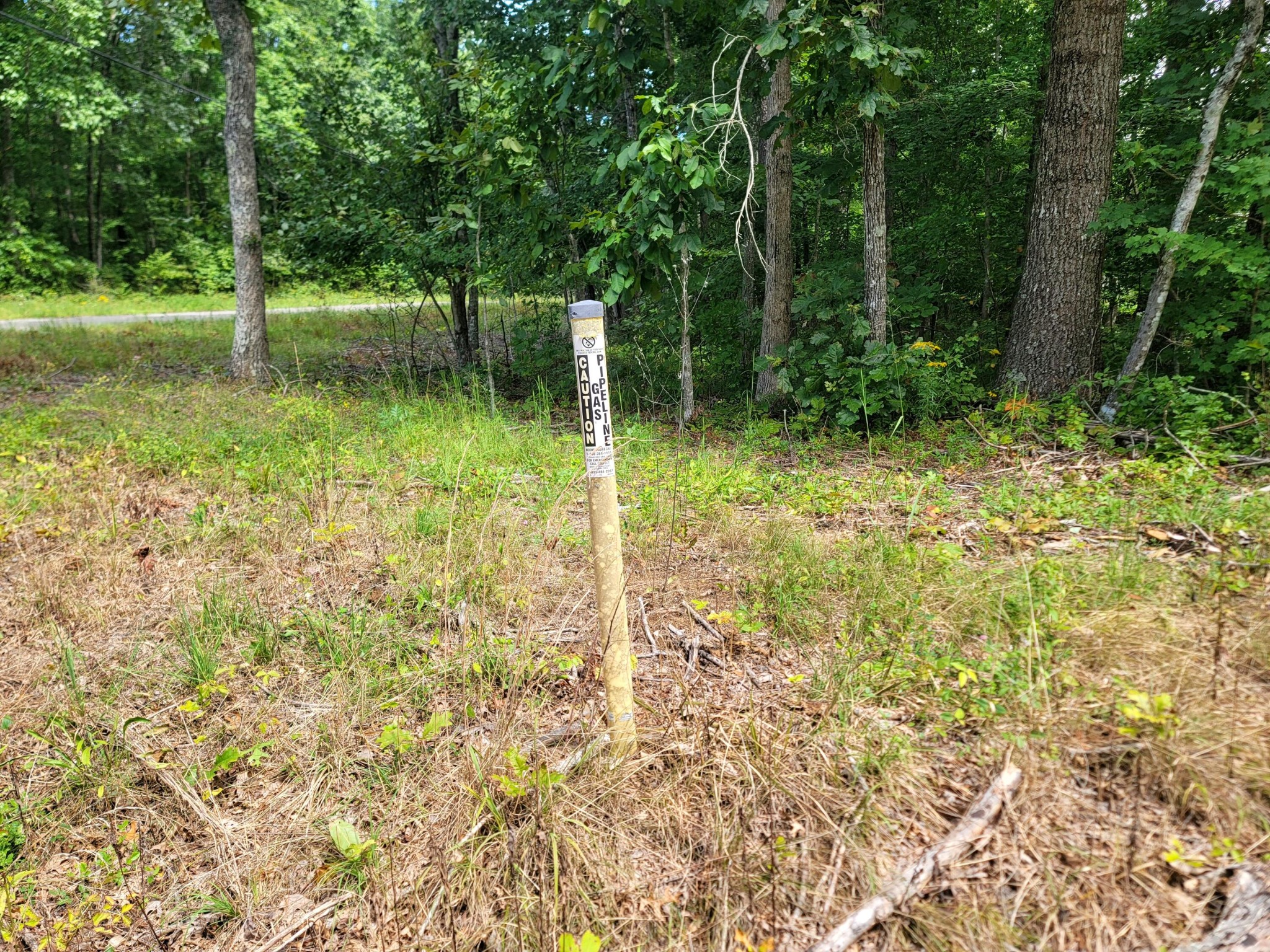 2105 Black Wolf Drive Property Photo 15
