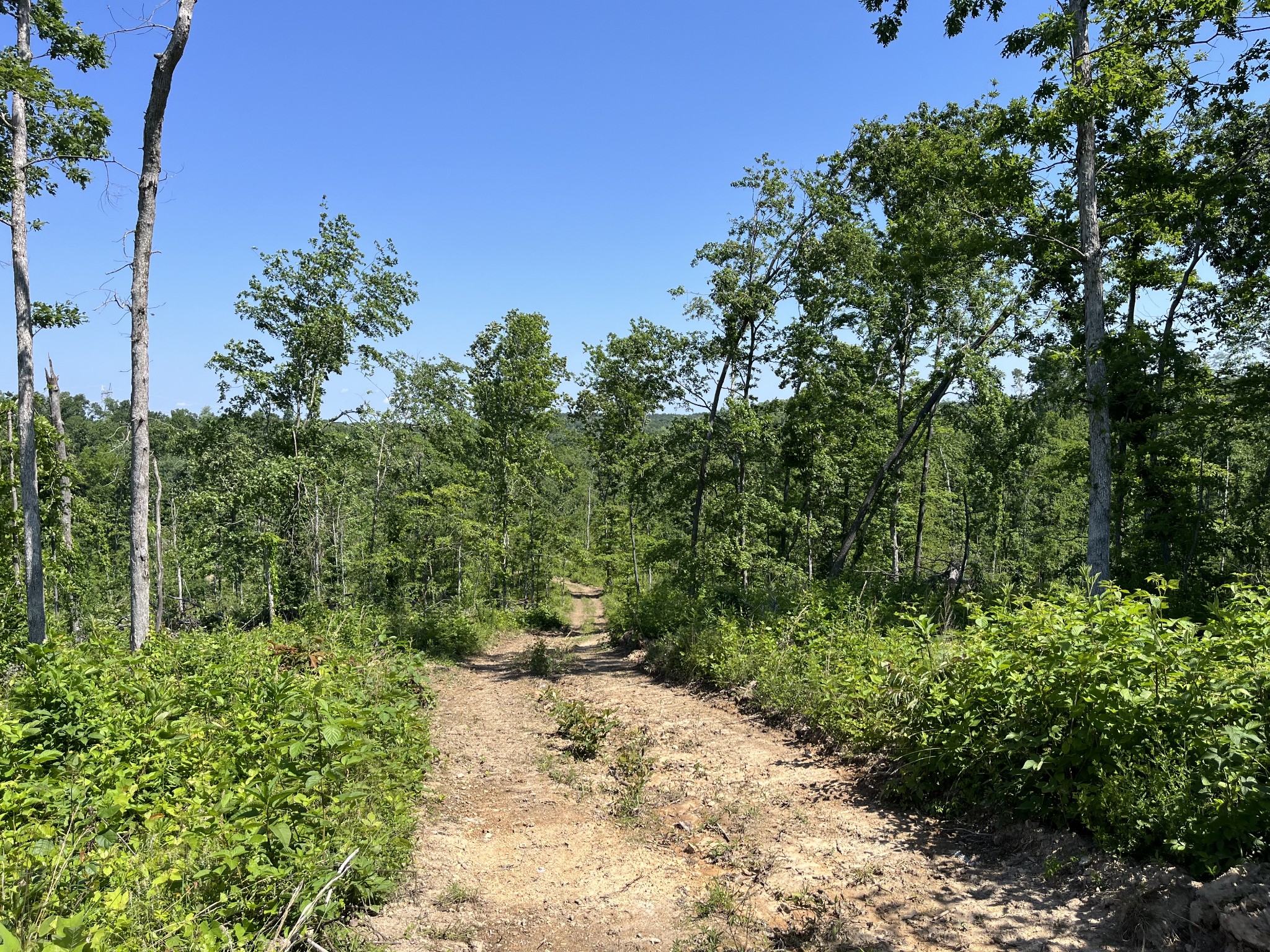 0 Trace Creek Rd Property Photo 1