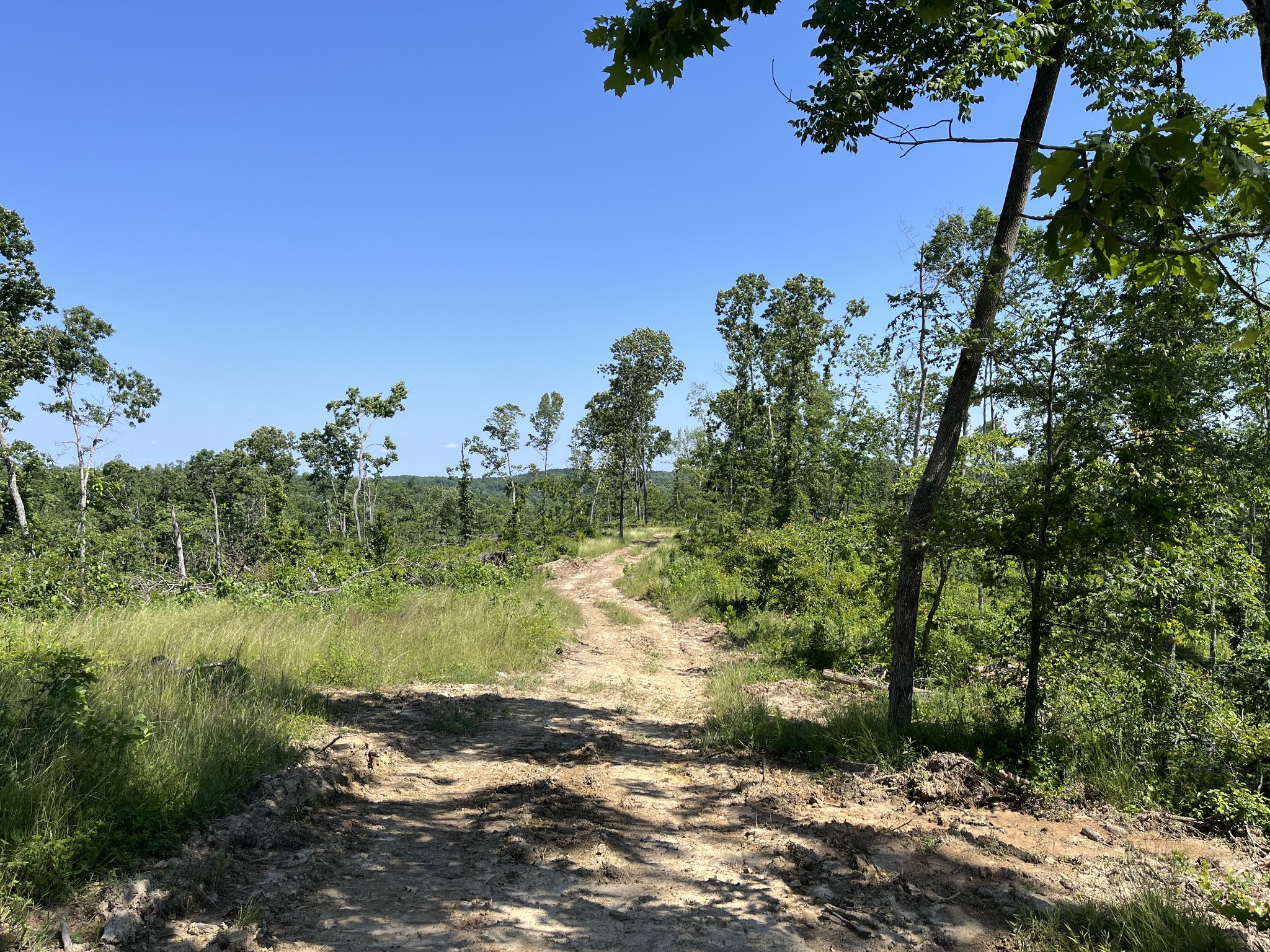 0 Trace Creek Rd Property Photo 4