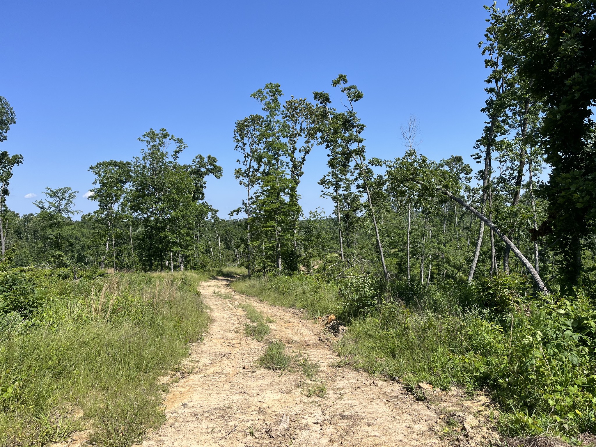 0 Trace Creek Rd Property Photo 5