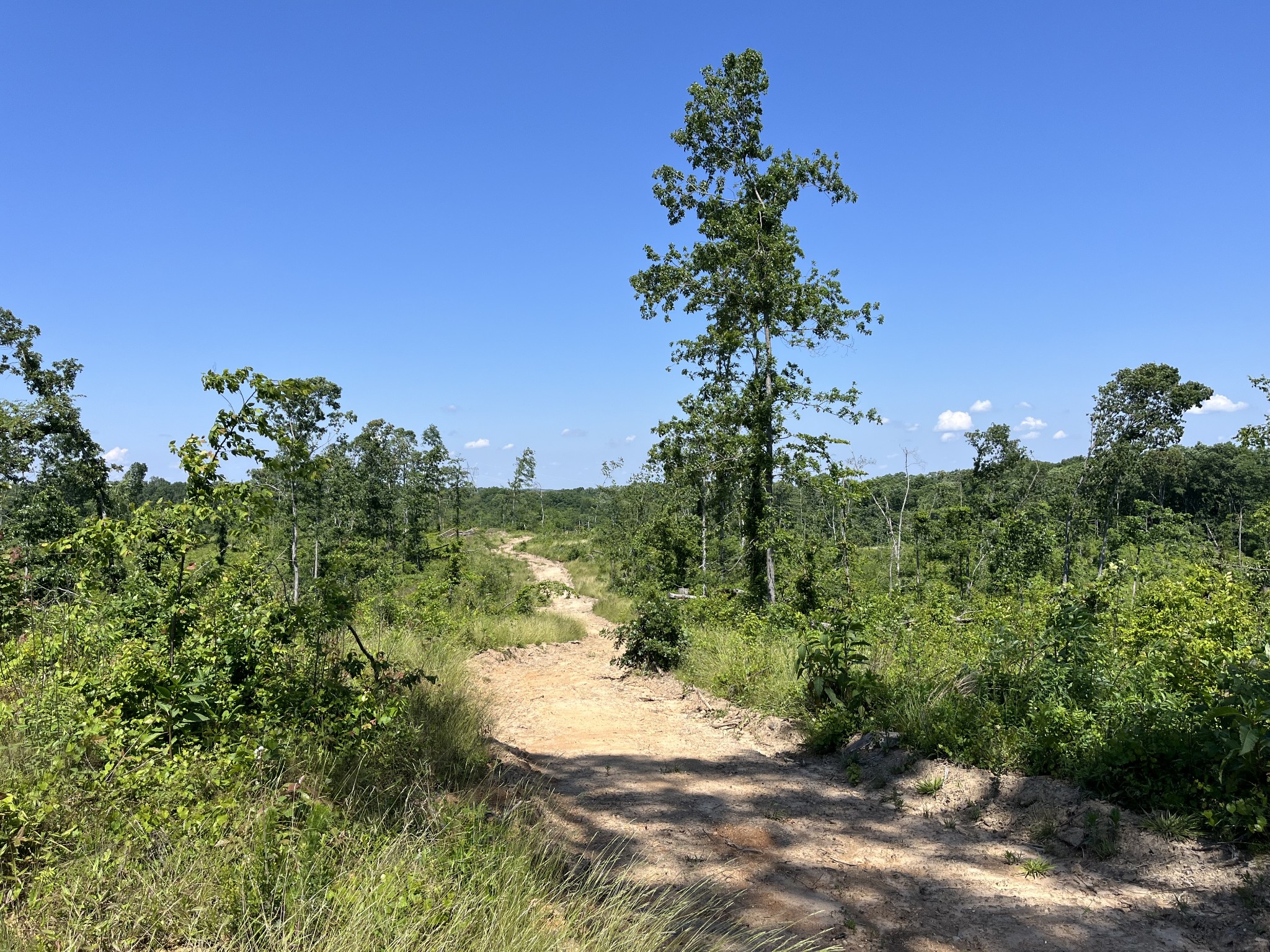 0 Trace Creek Rd Property Photo 8