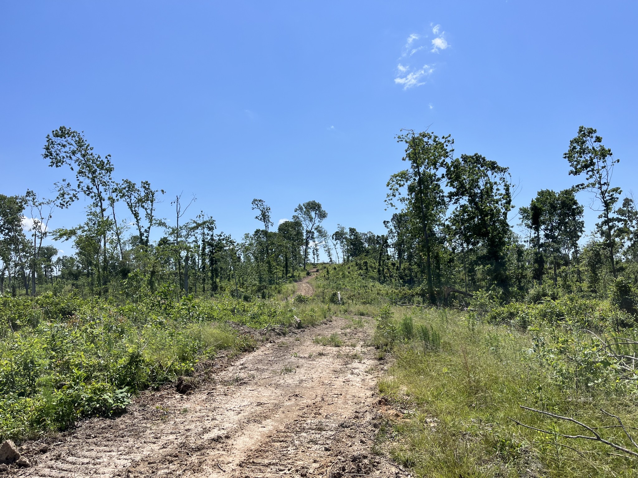 0 Trace Creek Rd Property Photo 9