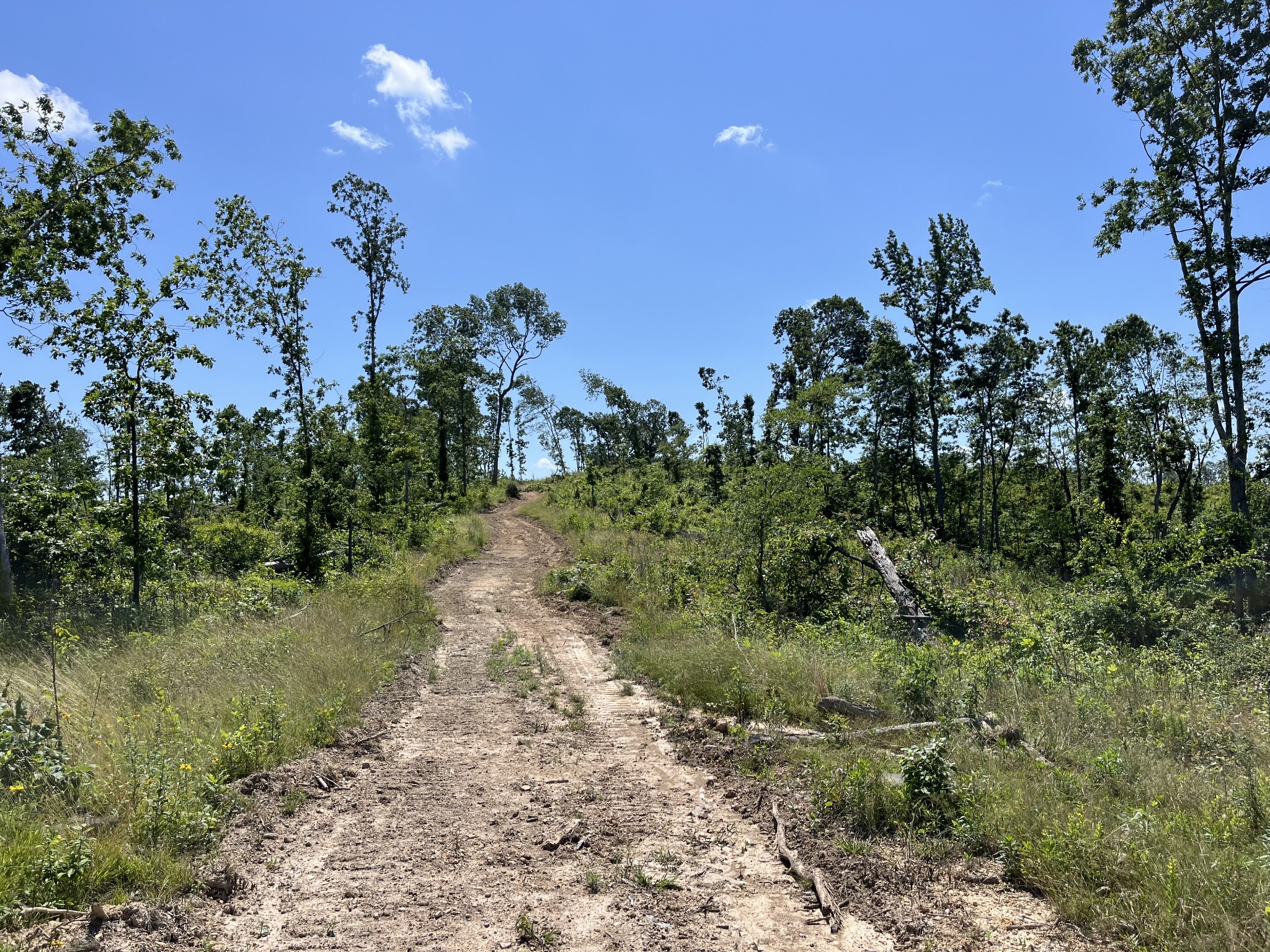 0 Trace Creek Rd Property Photo 10