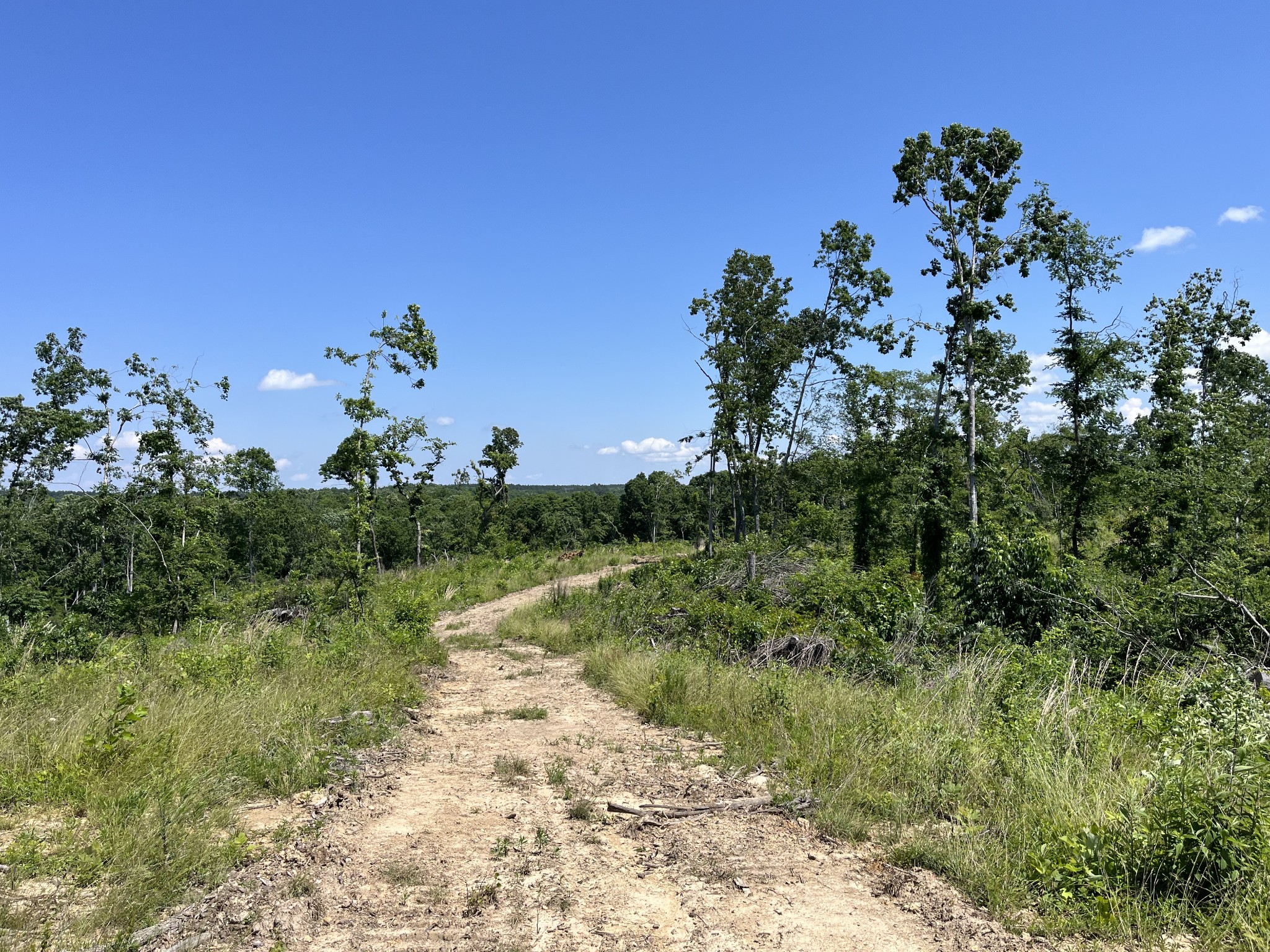 0 Trace Creek Rd Property Photo 12