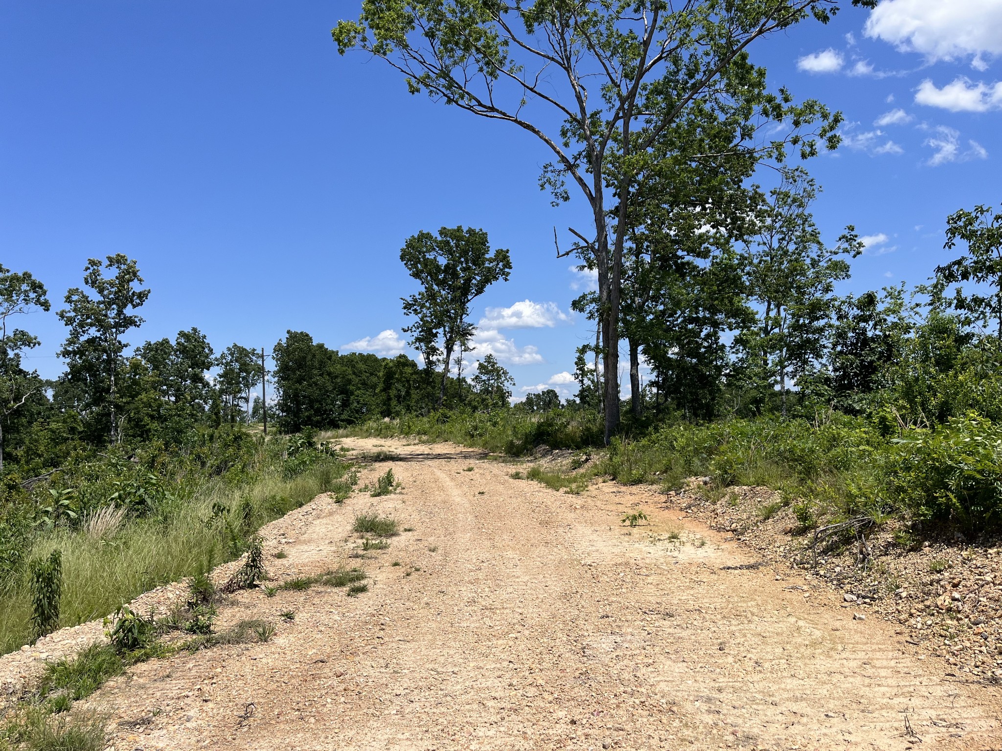 0 Trace Creek Rd Property Photo 3
