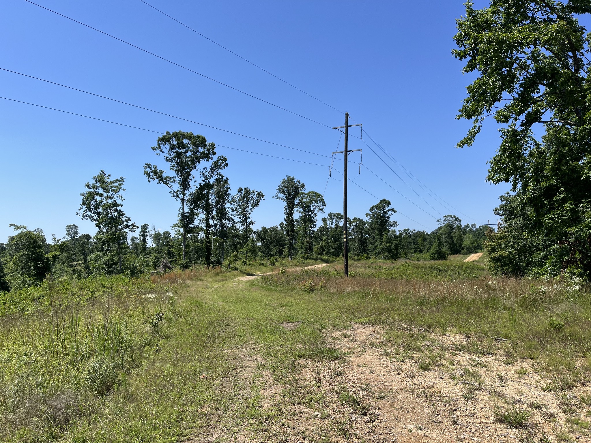 0 Trace Creek Rd Property Photo 6