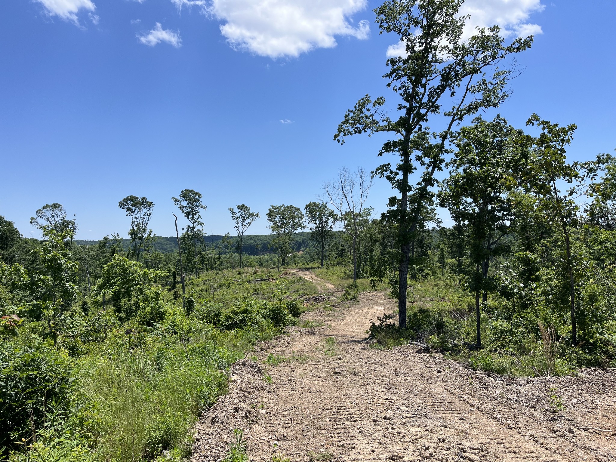 0 Trace Creek Rd Property Photo 14