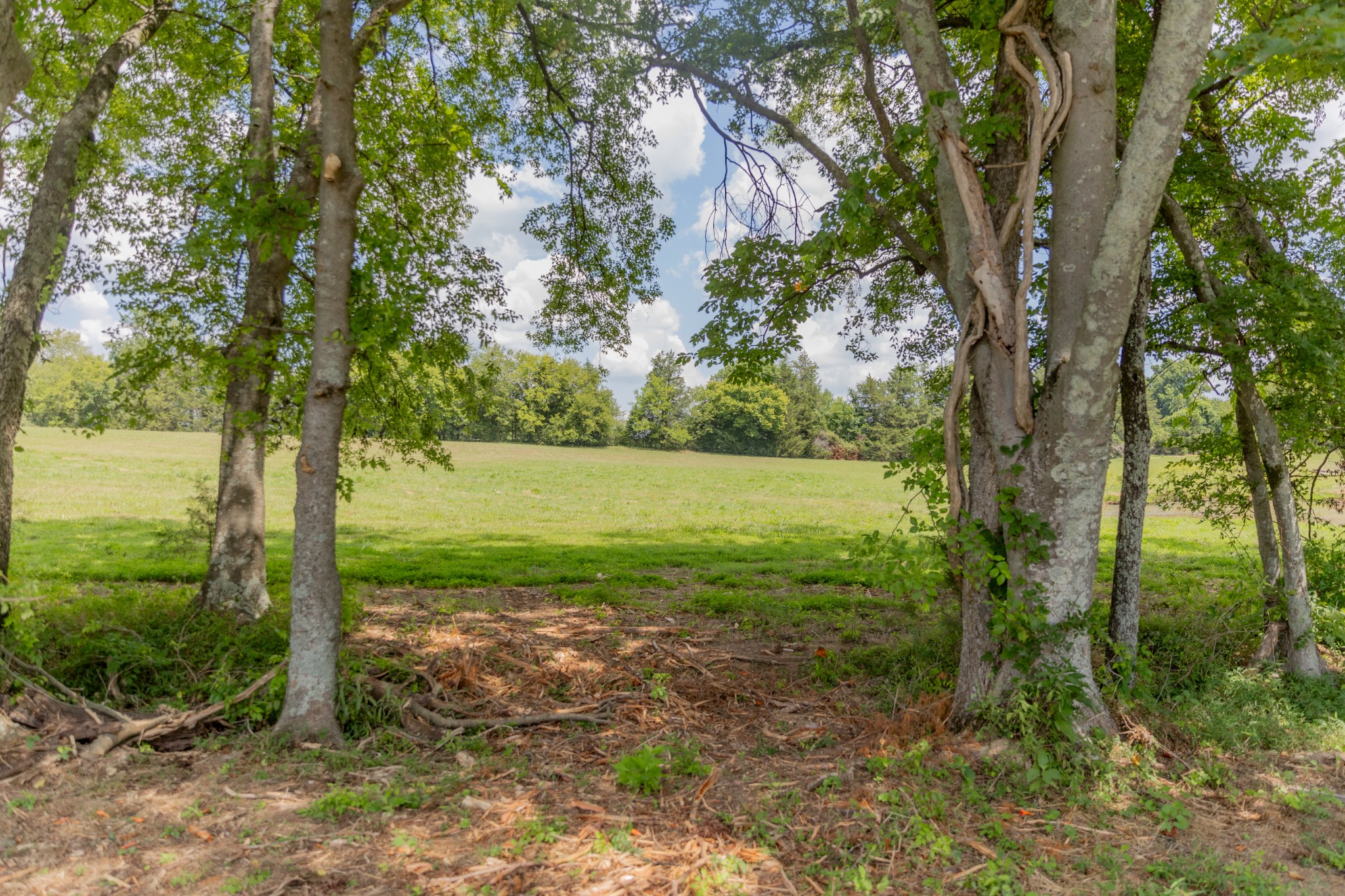 9023 Possum Trot Trail Property Photo 5