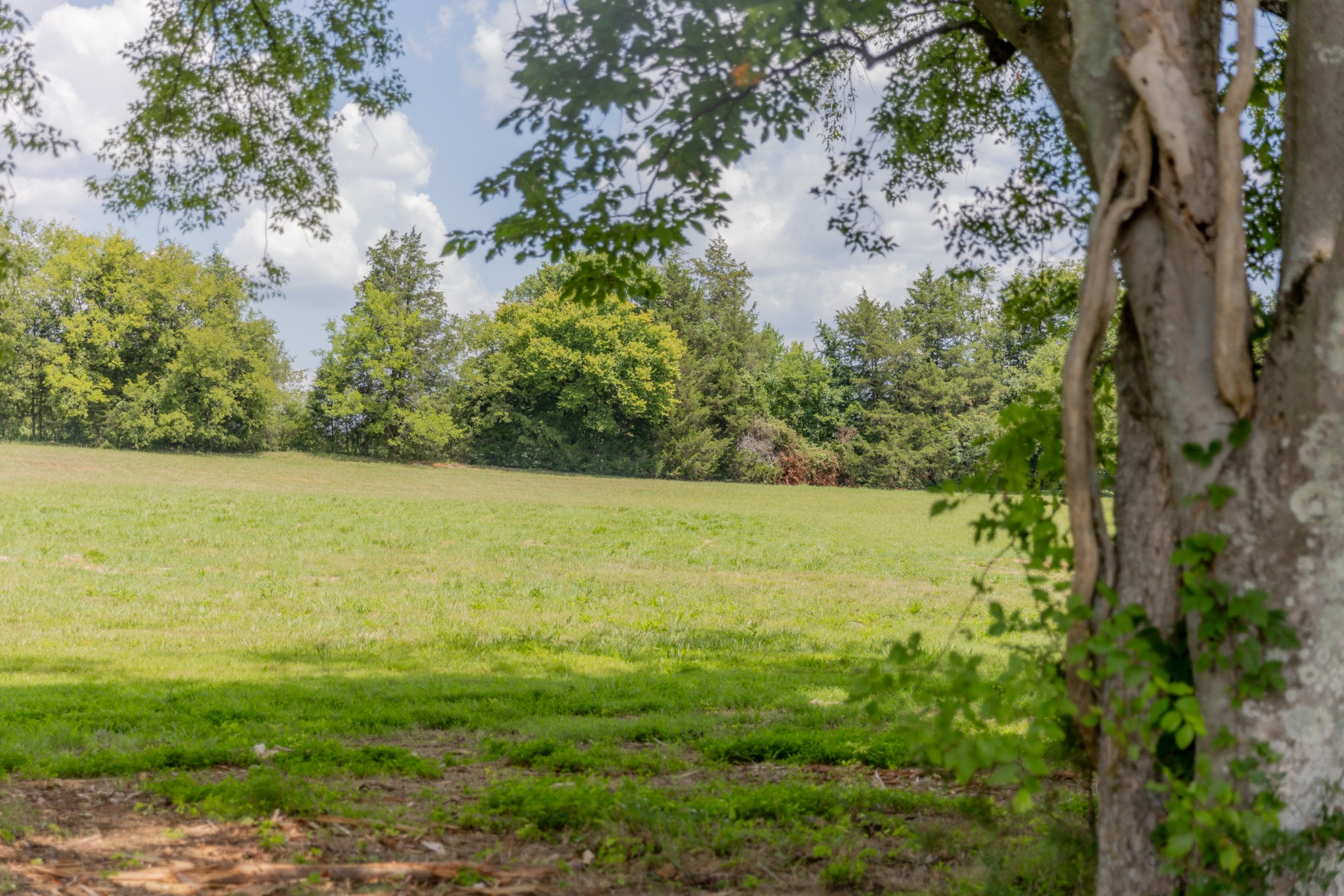 9023 Possum Trot Trail Property Photo 6