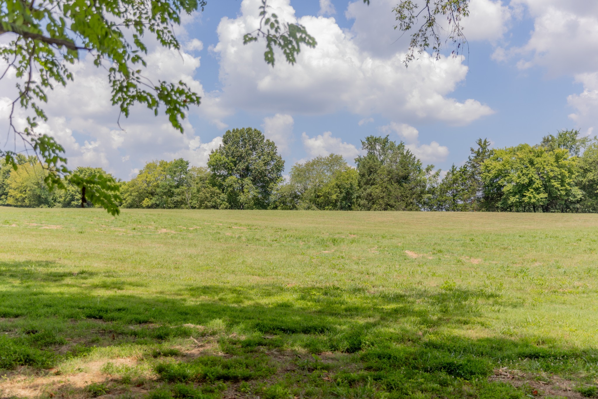 9023 Possum Trot Trail Property Photo 7