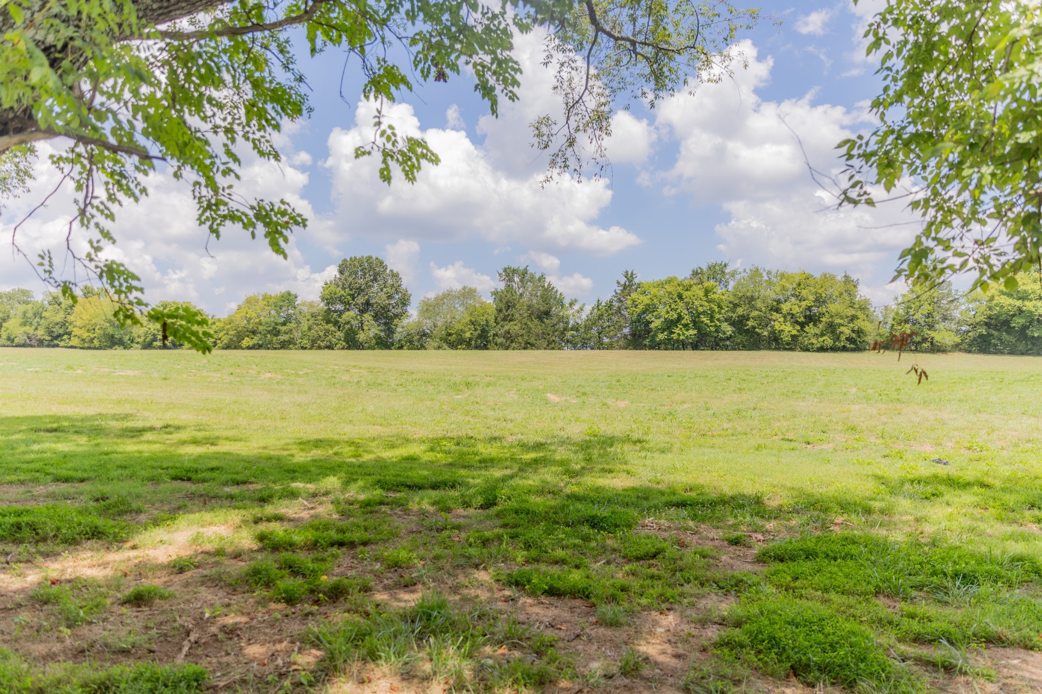 9023 Possum Trot Trail Property Photo 8