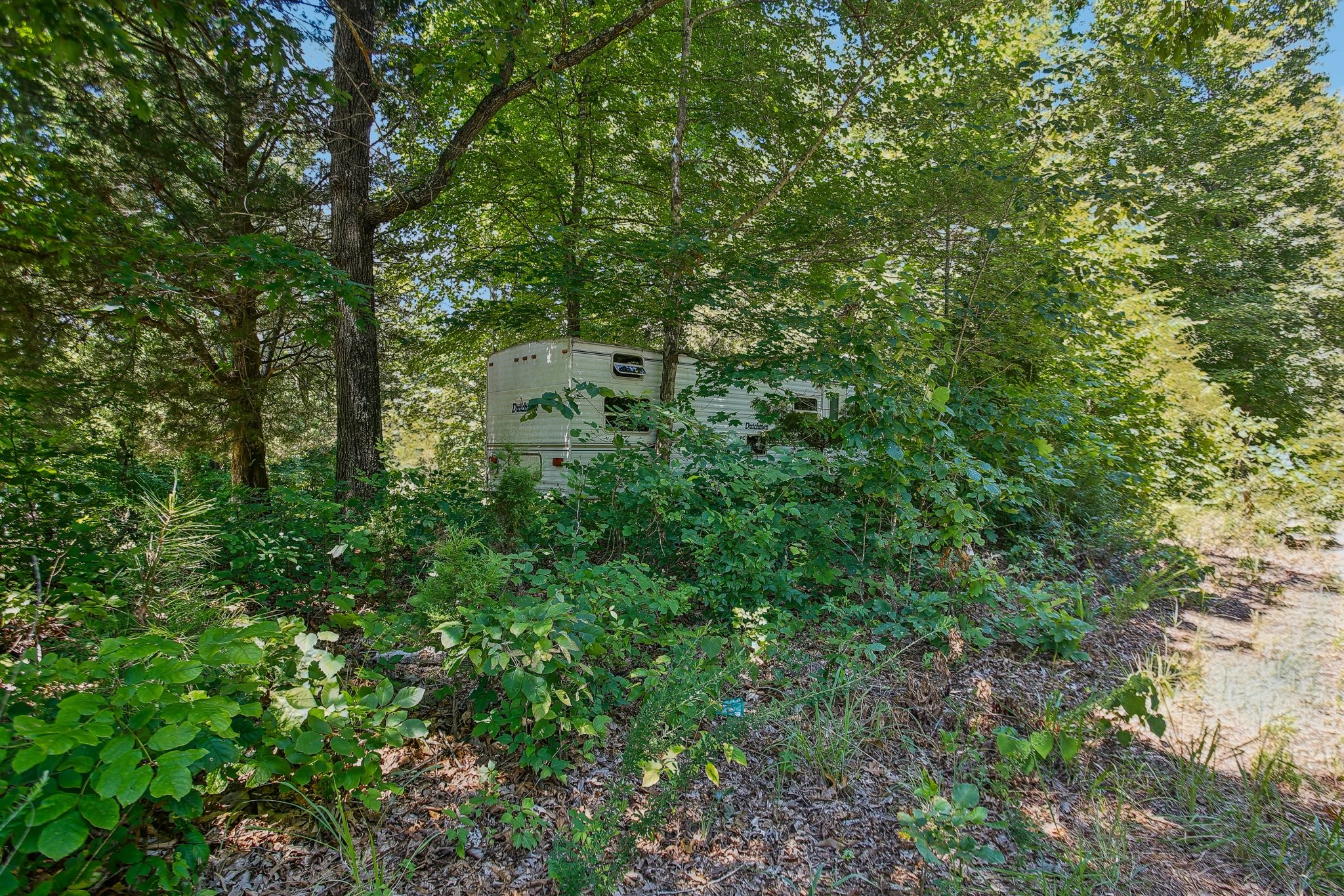 4645 Frankie Rd Property Photo 10