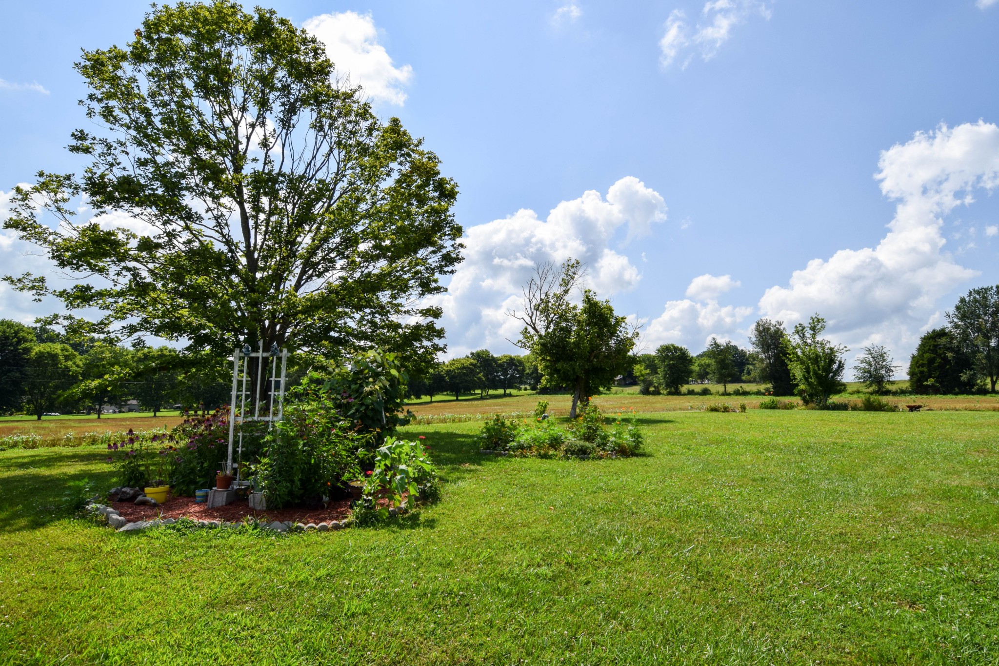 135 Old Hwy 52w Property Photo 3