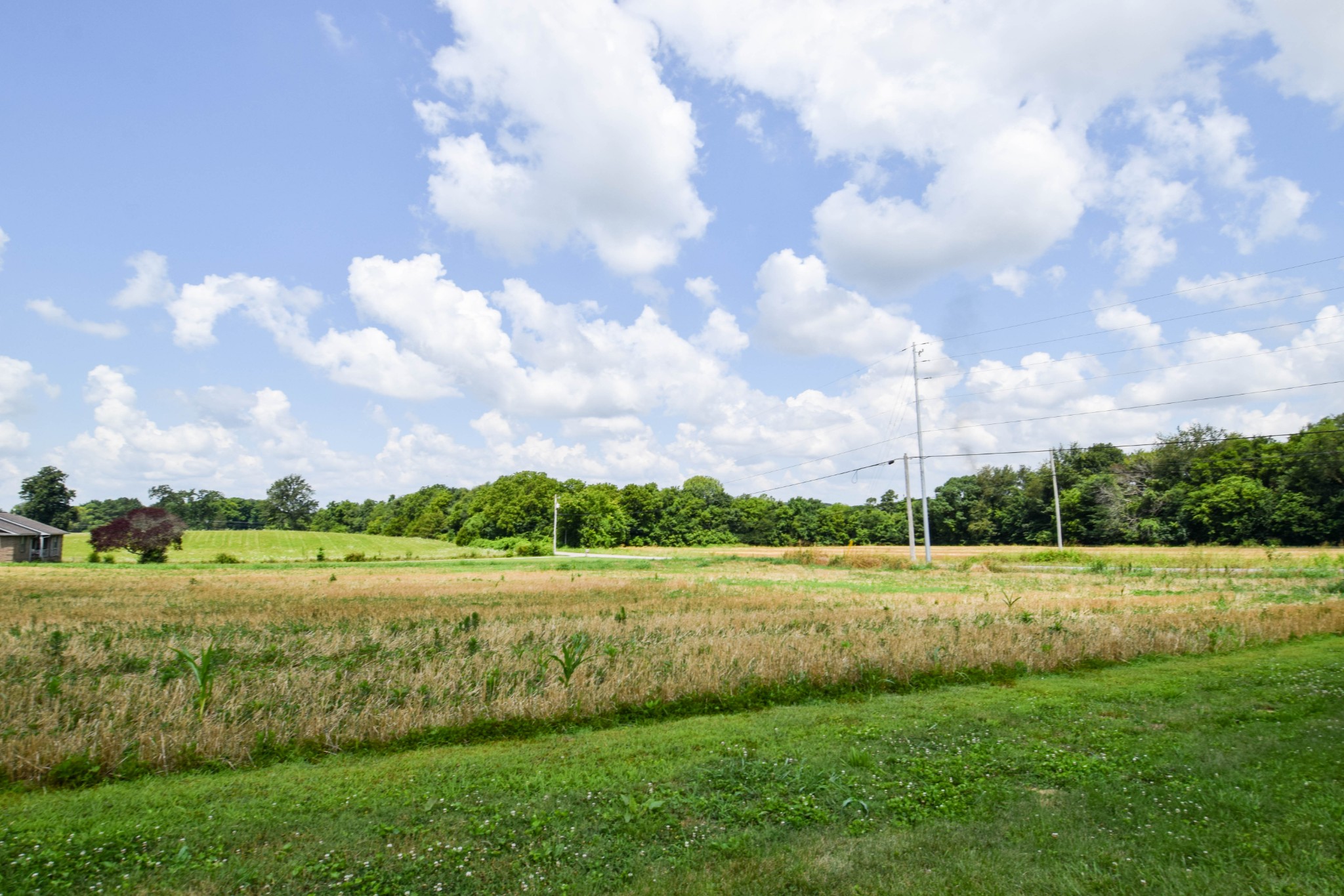 135 Old Hwy 52w Property Photo 42