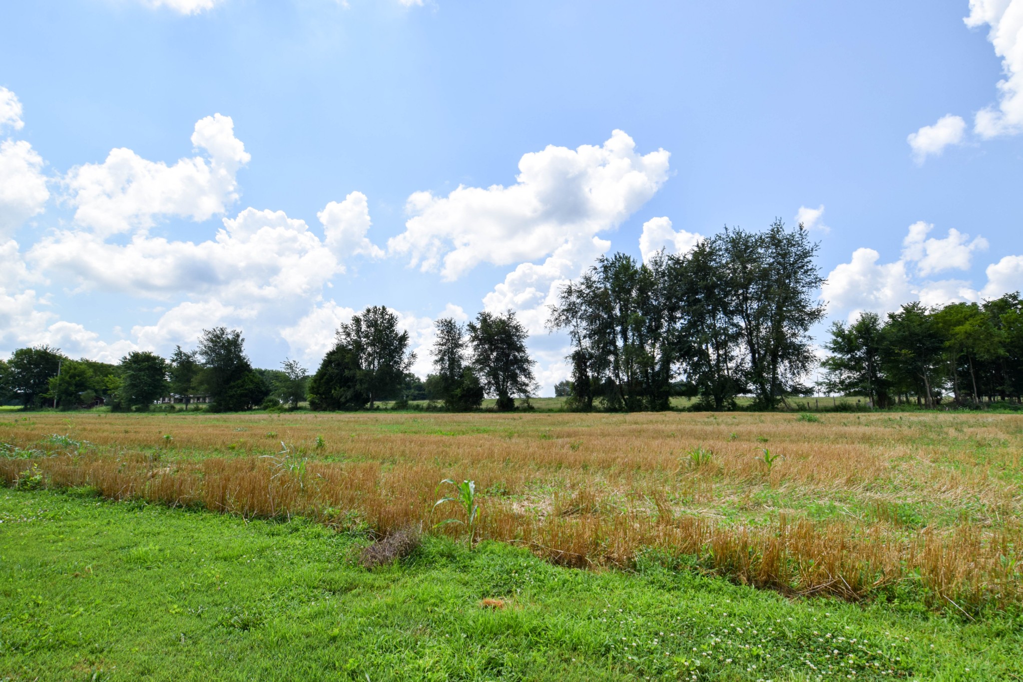 135 Old Hwy 52w Property Photo 44
