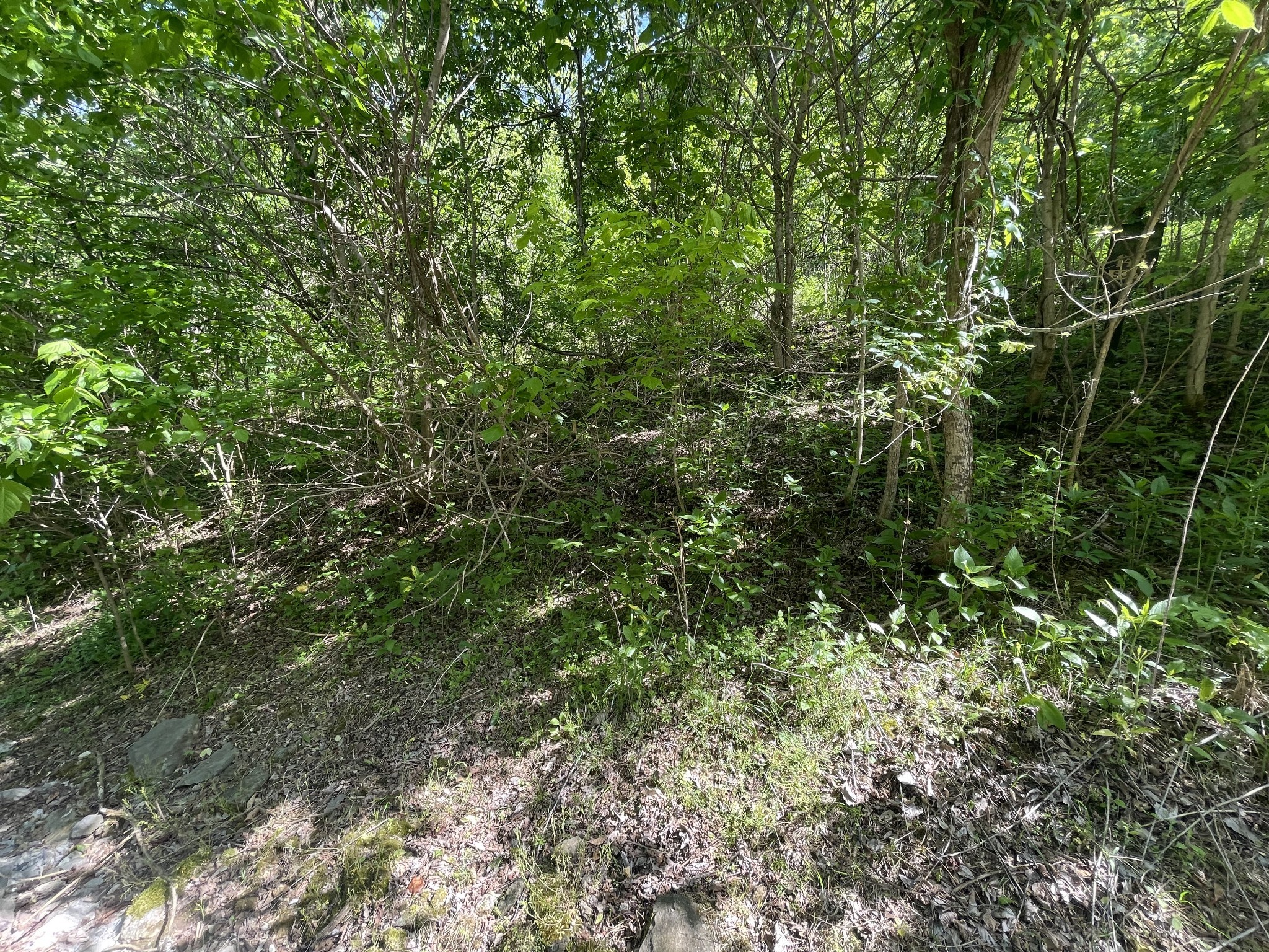 0 Rutherford Lane Property Photo 10