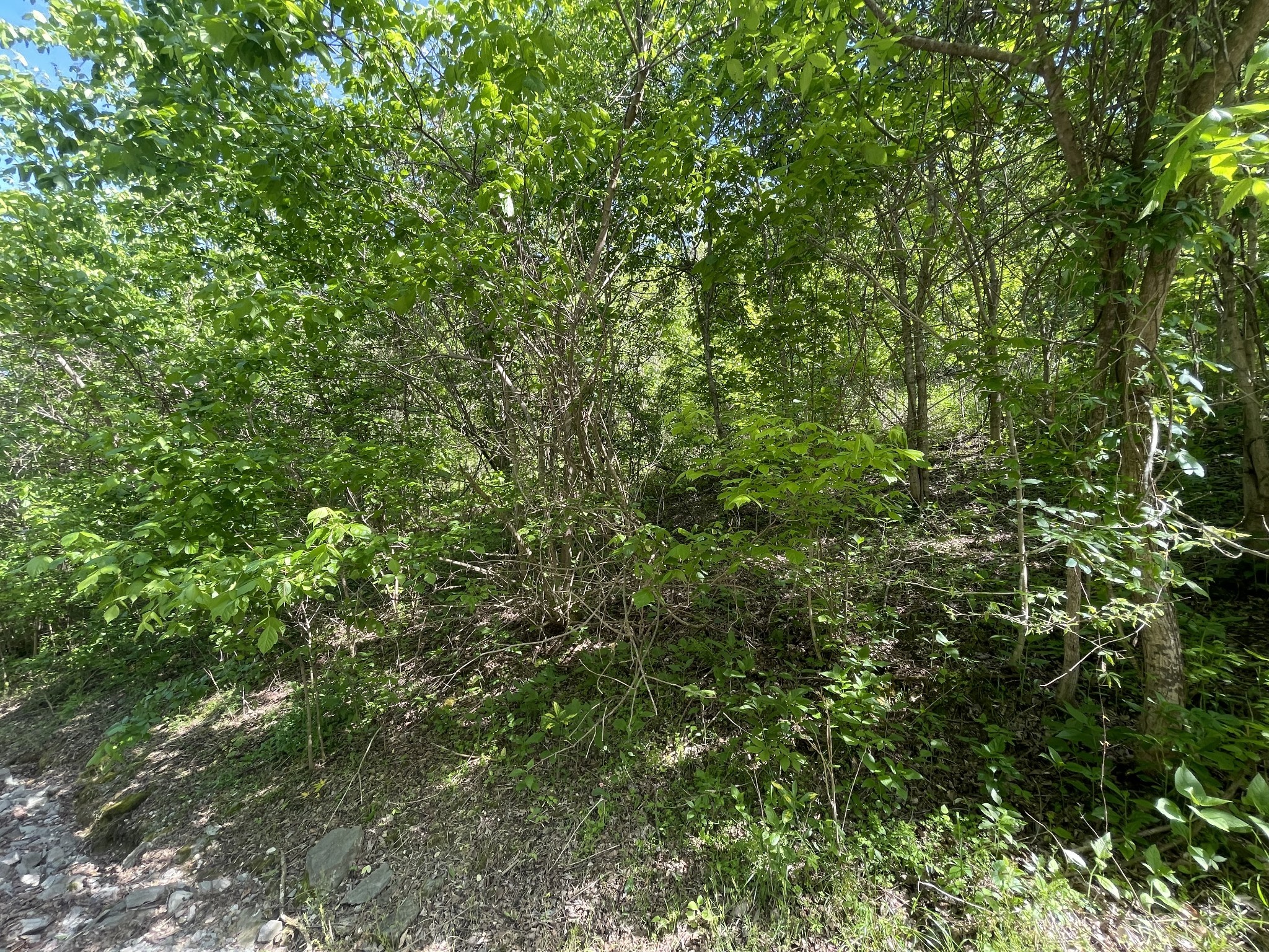 0 Rutherford Lane Property Photo 12