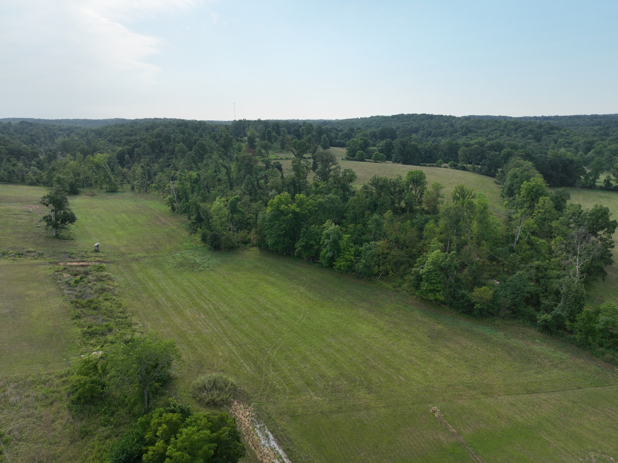 1047 E Piney Rd Property Photo 2