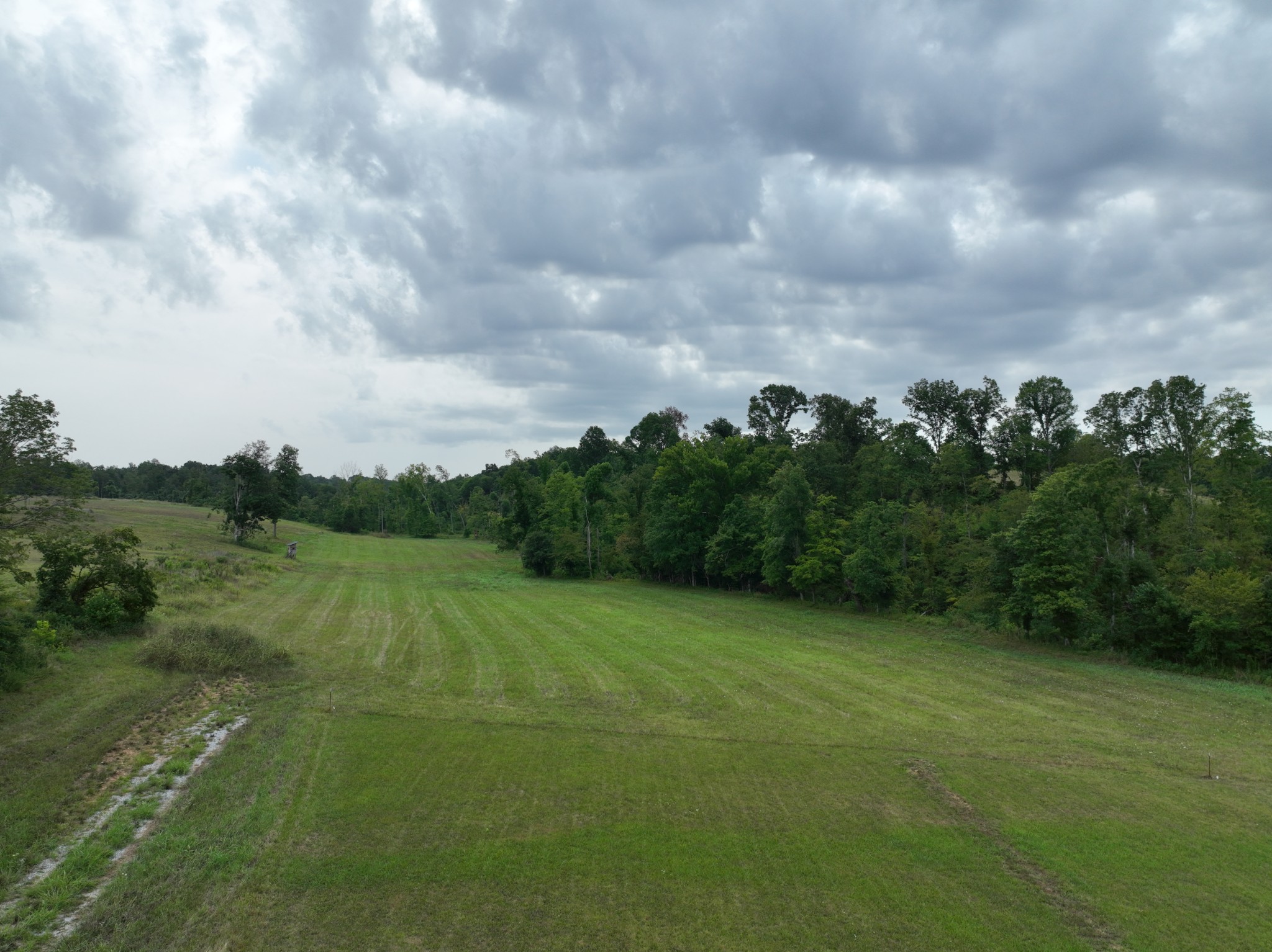 1047 E Piney Rd Property Photo 3