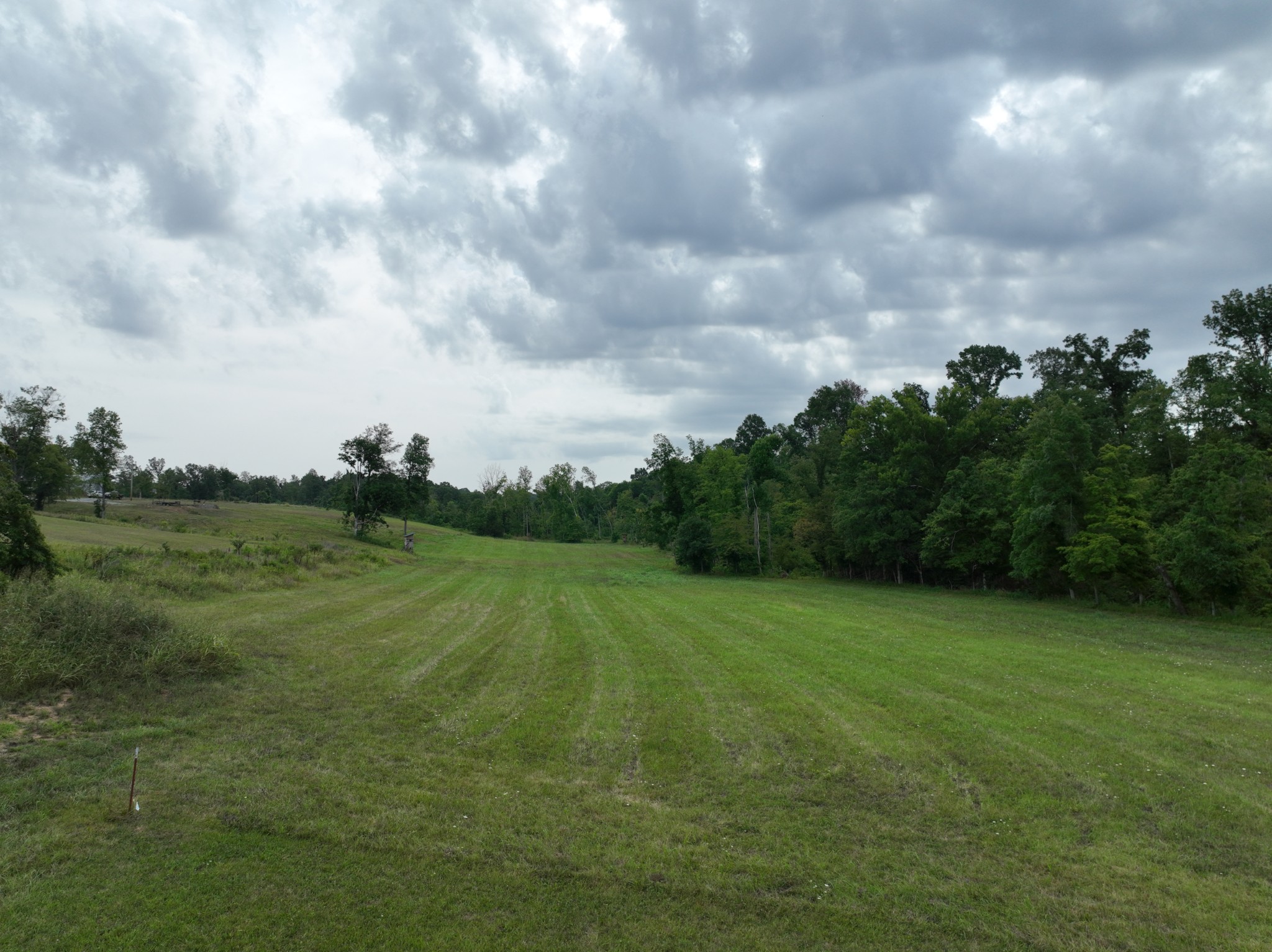 1047 E Piney Rd Property Photo 4