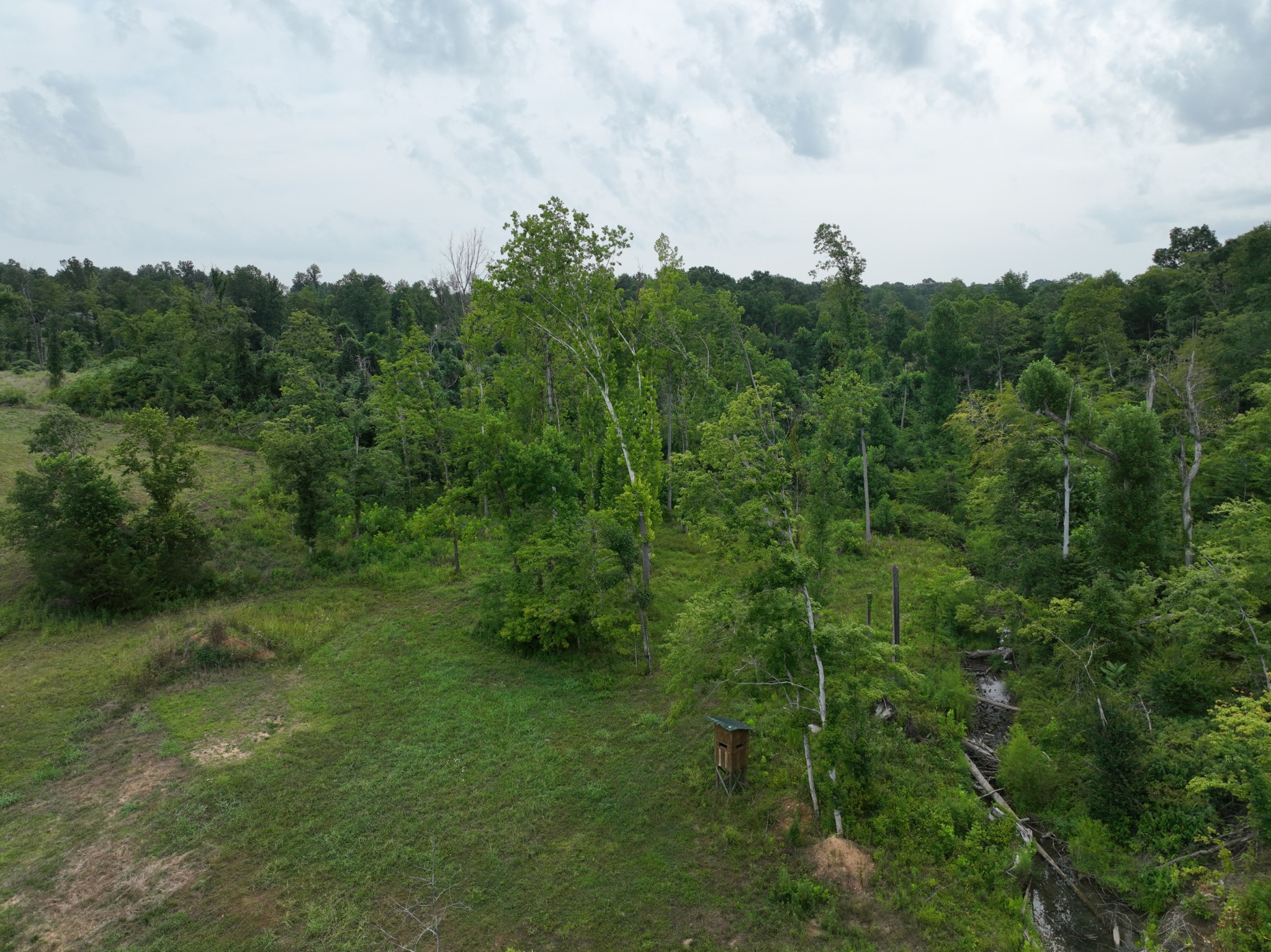 1047 E Piney Rd Property Photo 7