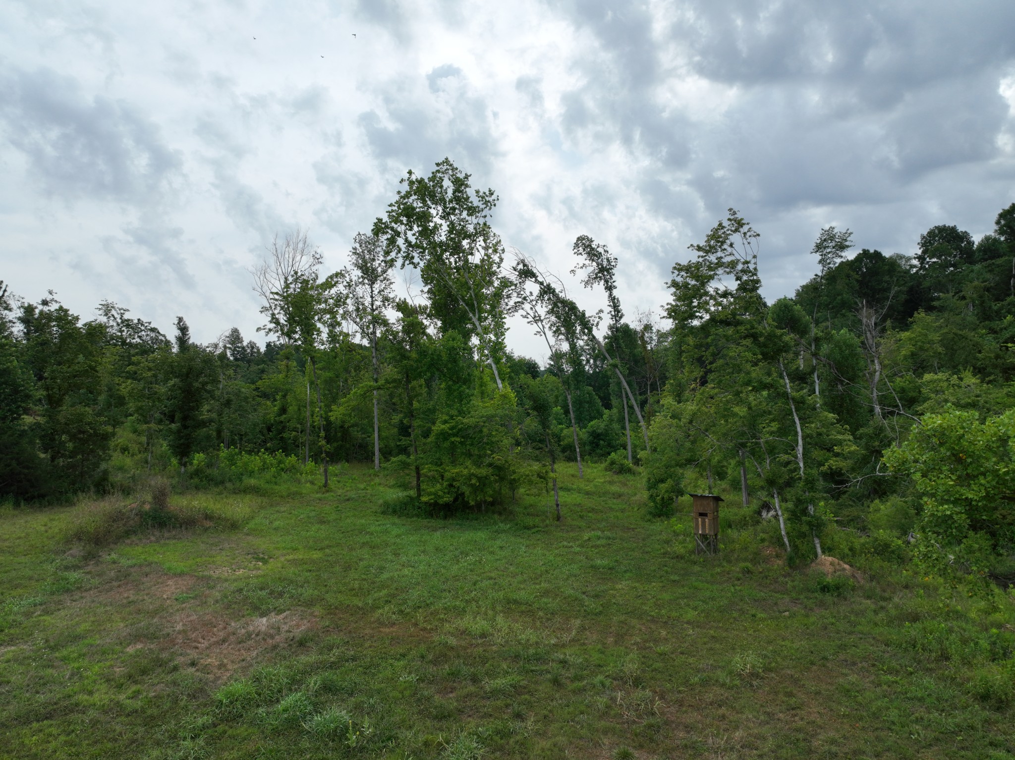 1047 E Piney Rd Property Photo 8