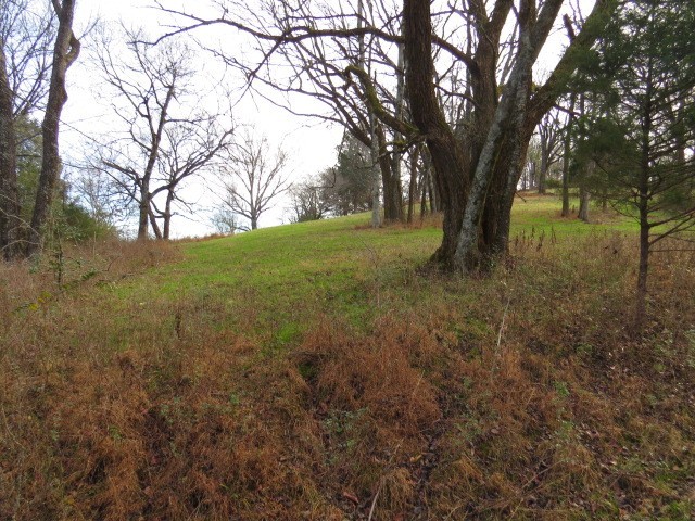 1811 Columbia Hwy Property Photo 3