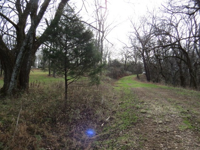 1811 Columbia Hwy Property Photo 4
