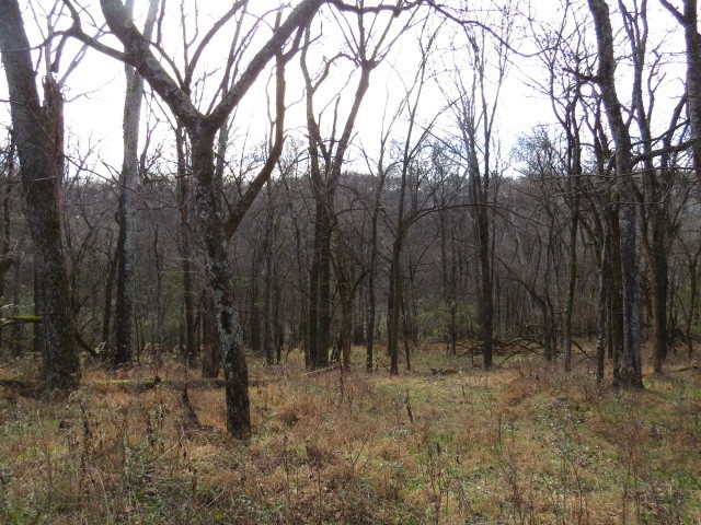 1811 Columbia Hwy Property Photo 6