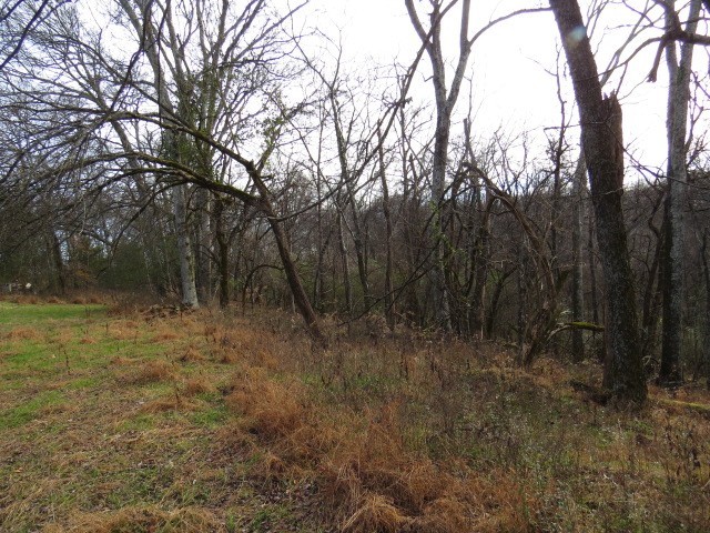 1811 Columbia Hwy Property Photo 7