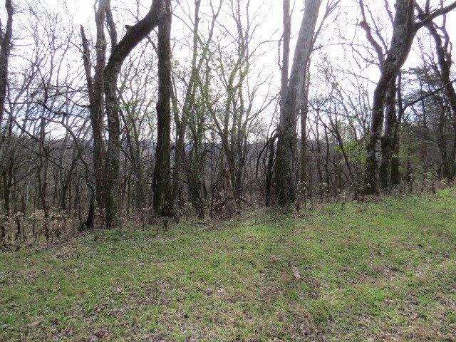 1811 Columbia Hwy Property Photo 13