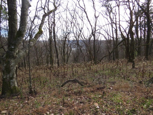 1811 Columbia Hwy Property Photo 14