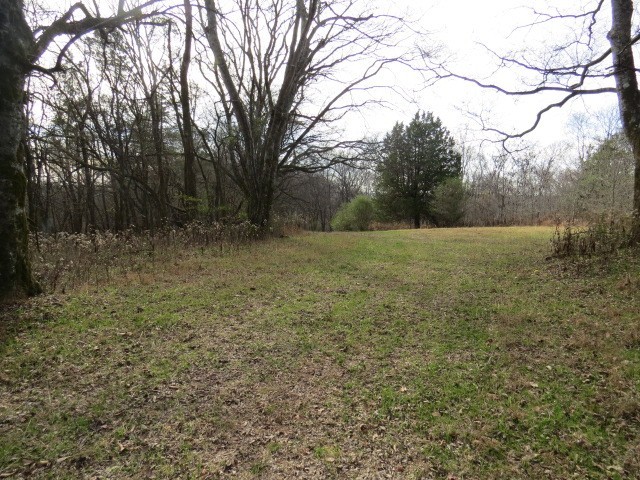 1811 Columbia Hwy Property Photo 15