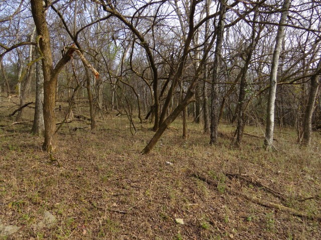 1811 Columbia Hwy Property Photo 16
