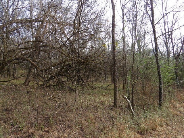 1811 Columbia Hwy Property Photo 17
