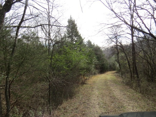 1811 Columbia Hwy Property Photo 18