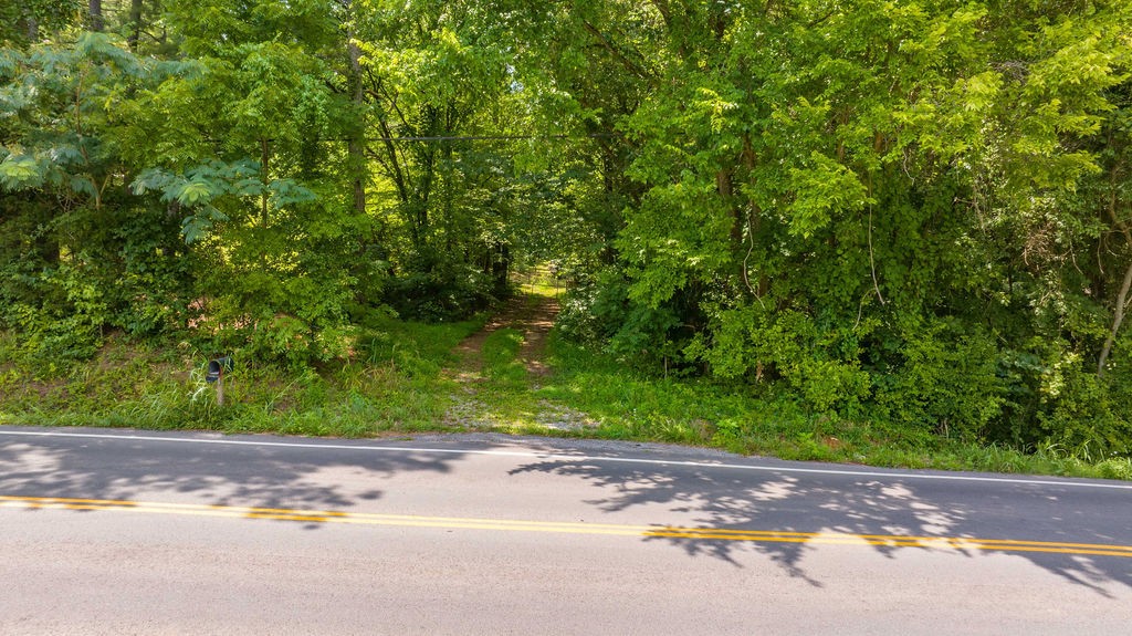 1560 River Rd Property Photo 25