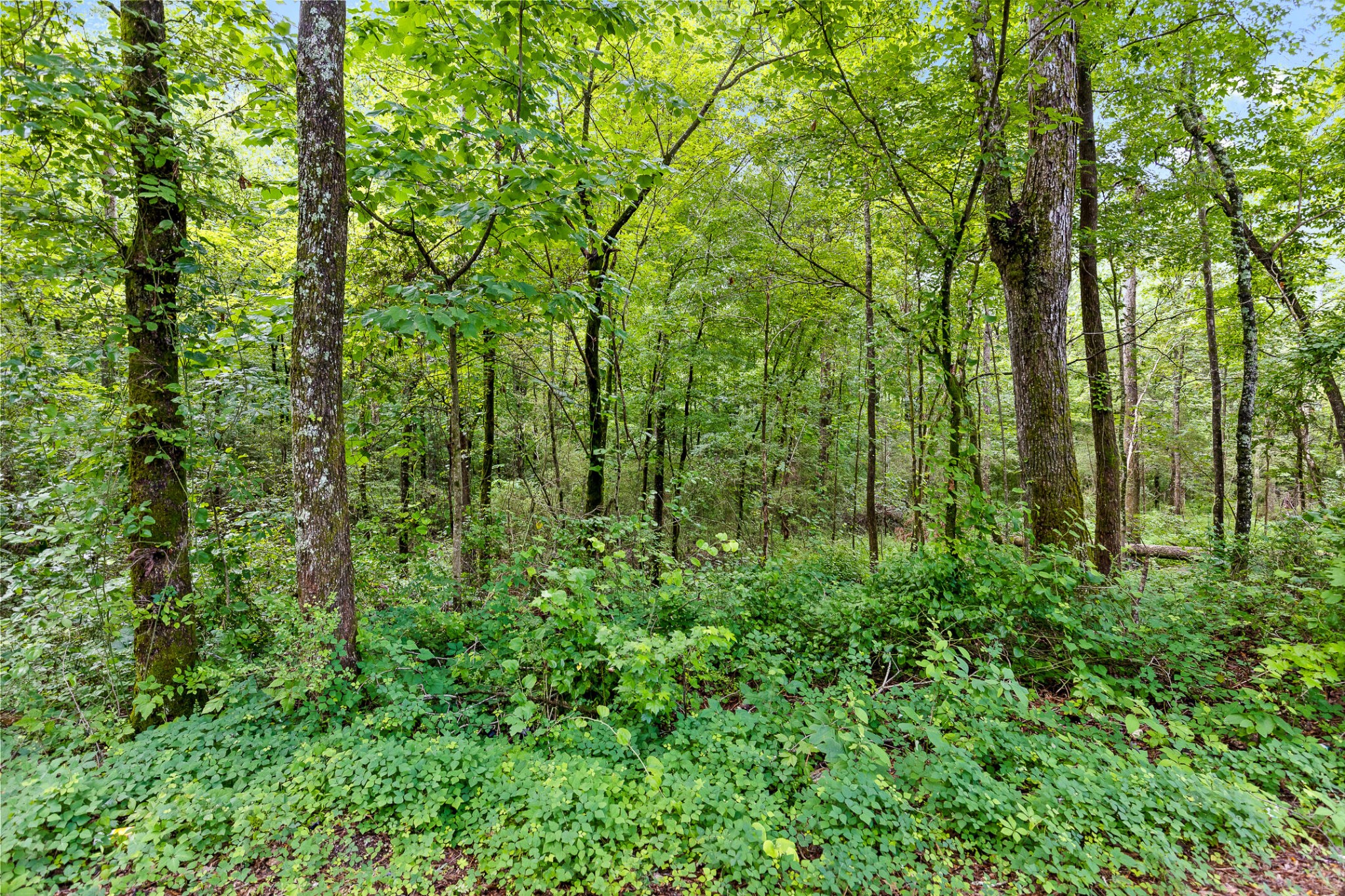 0 N Highway 27 Property Photo 3