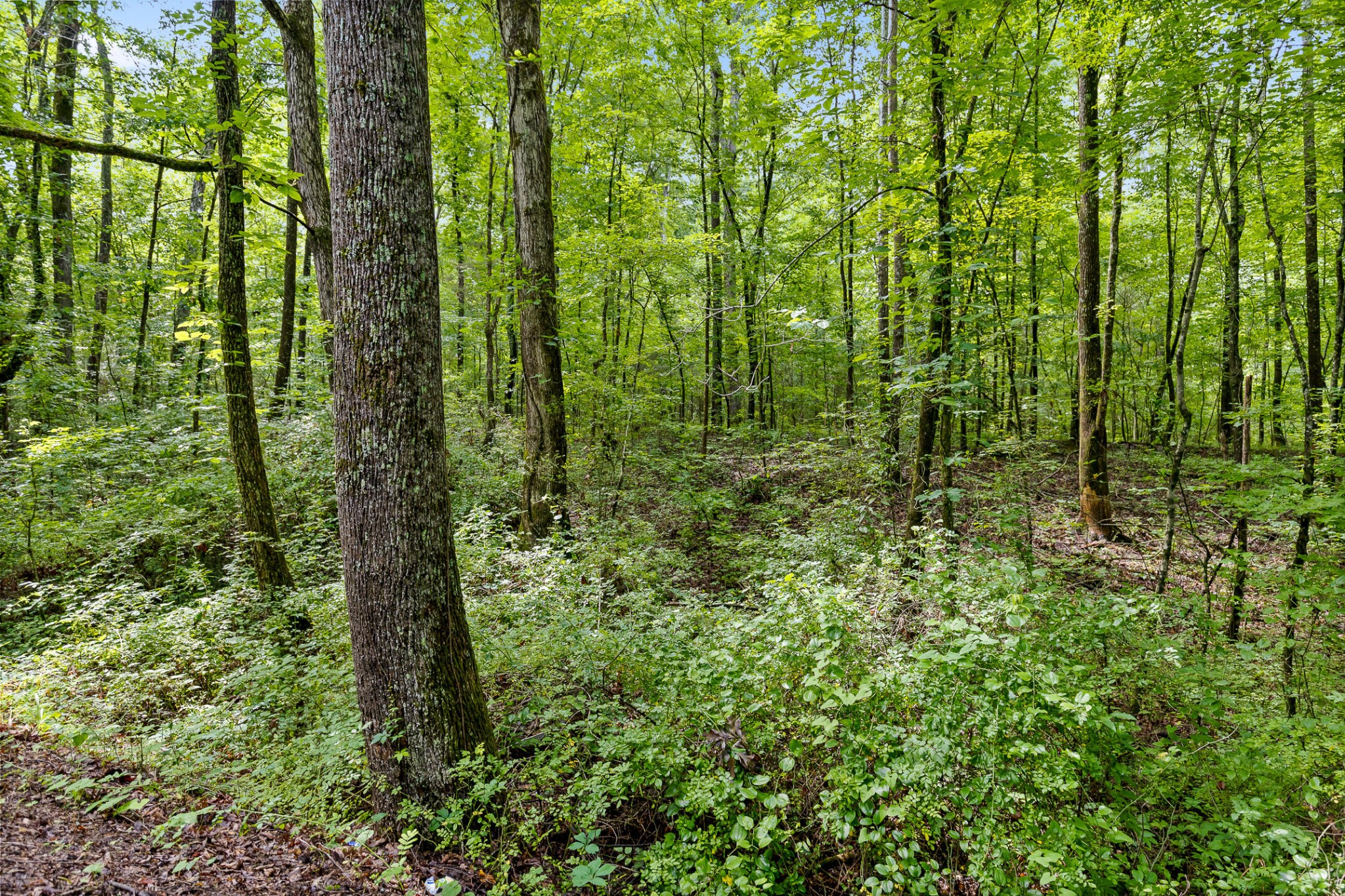 0 N Highway 27 Property Photo 4