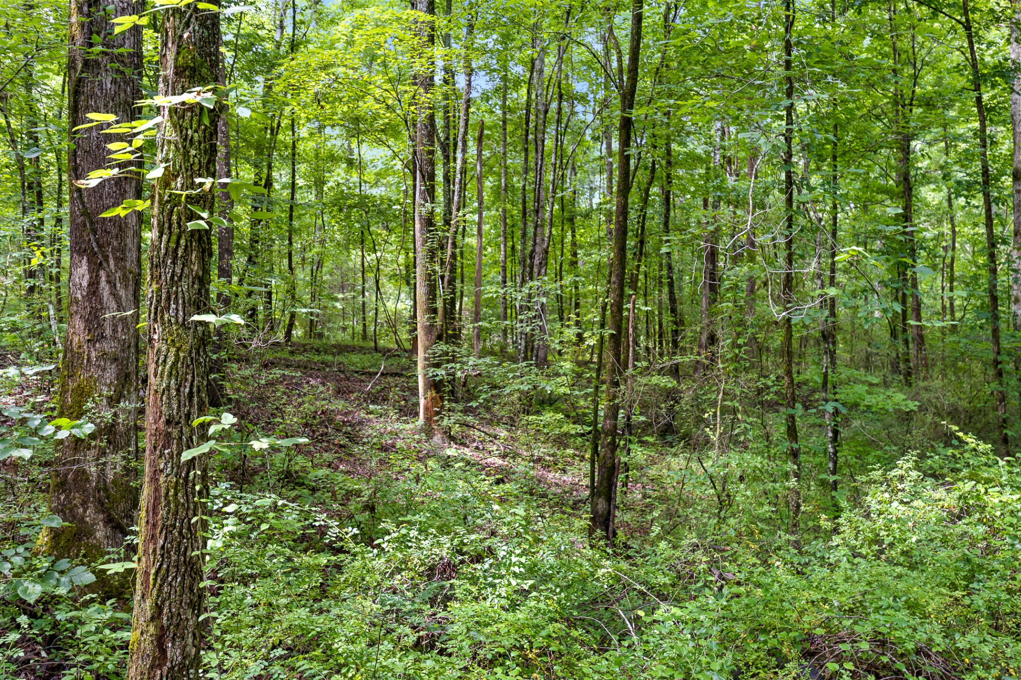 0 N Highway 27 Property Photo 5