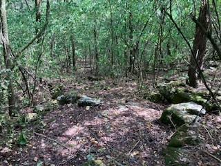 3076 Carters Creek Pk Property Photo 12
