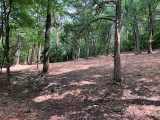 3076 Carters Creek Pk Property Photo 14