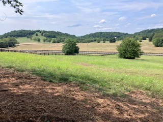 3076 Carters Creek Pk Property Photo 17