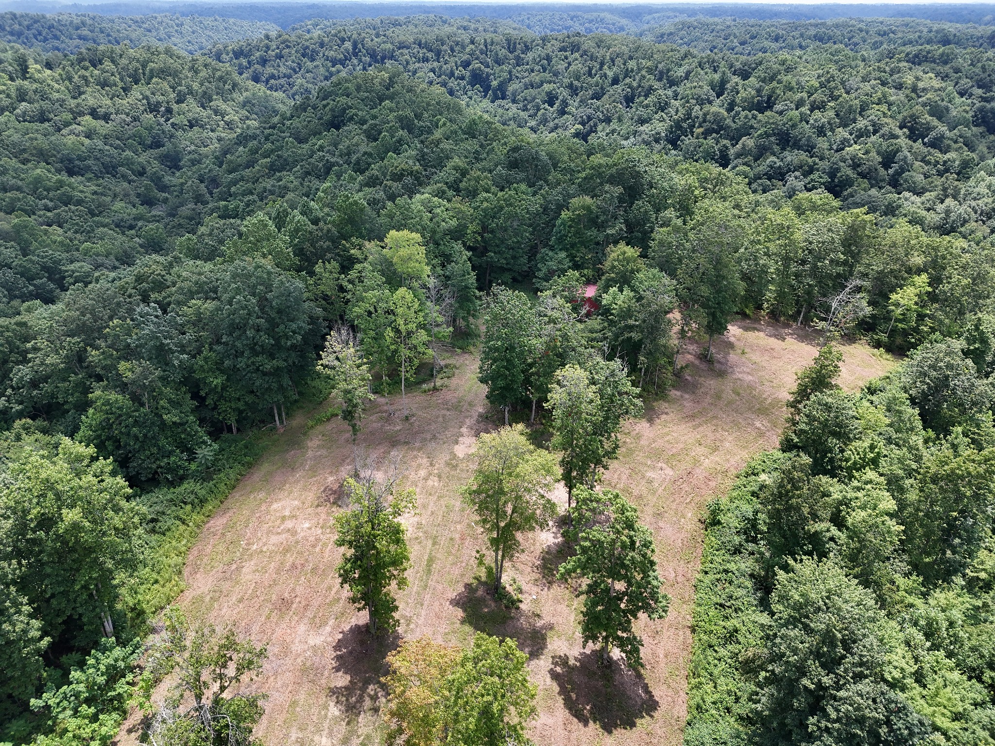 0 Oak Grove Road Property Photo 9