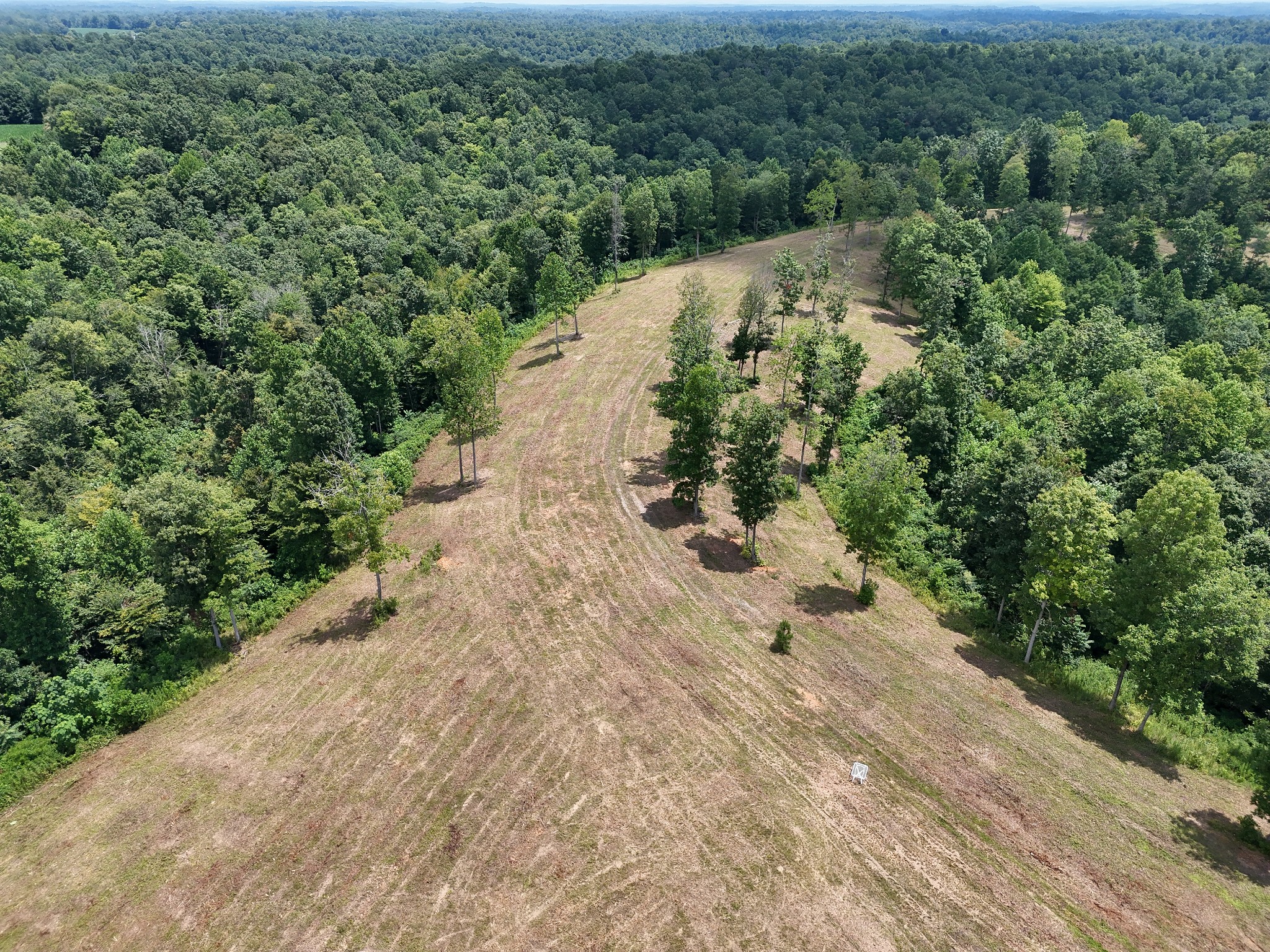 0 Oak Grove Road Property Photo 12