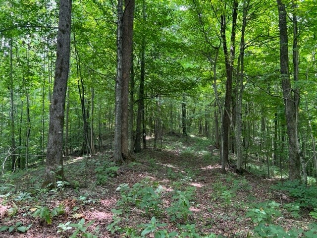 0 Skaggs Branch Rd Property Photo 3
