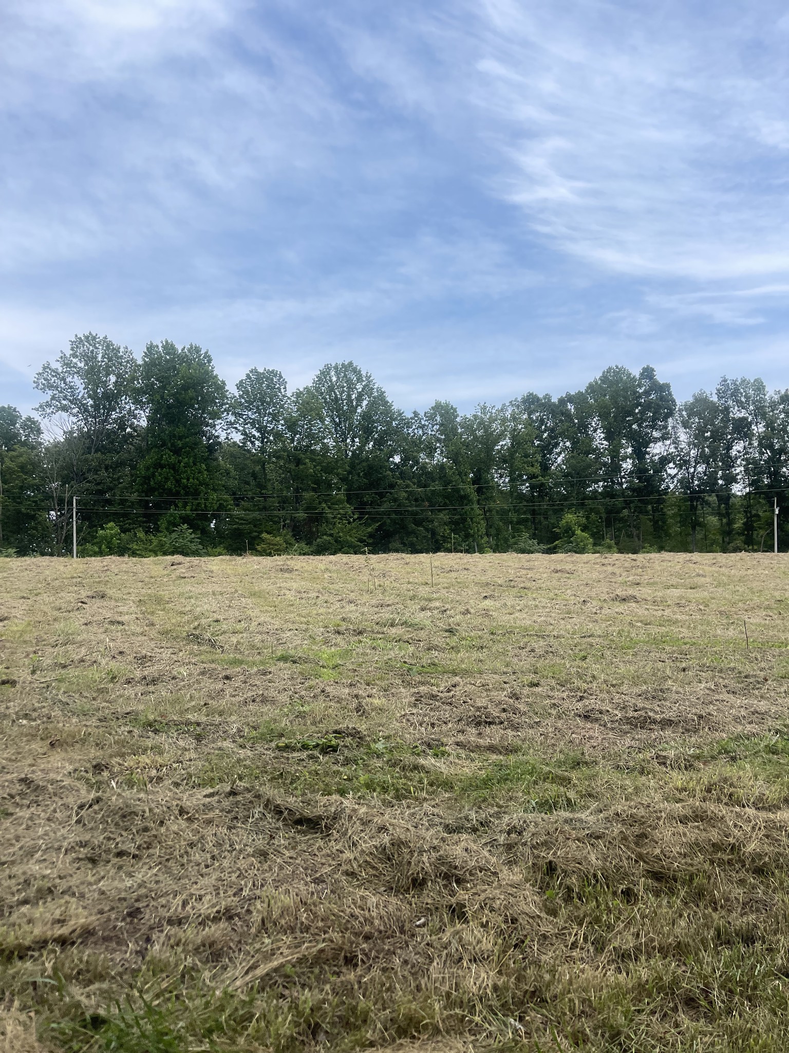 0 Magnolia Lane Property Photo 2